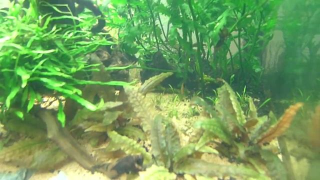 P1000823 смотреть онлайн