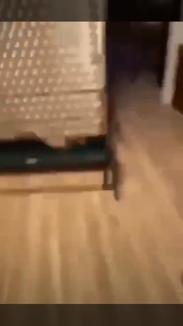 Схлопнулся 😉✌️😂😂😂 смотреть онлайн