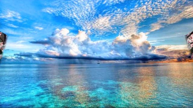 ПРИРОДА.wmv смотреть онлайн