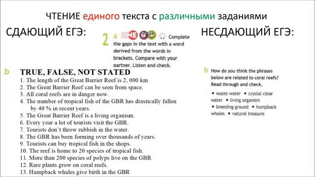 Стриминг 237 Северинова ЕЮ