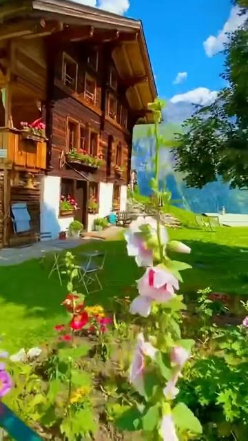 наша планета #shortsvideo #shortvideo #shorts #short смотреть онлайн