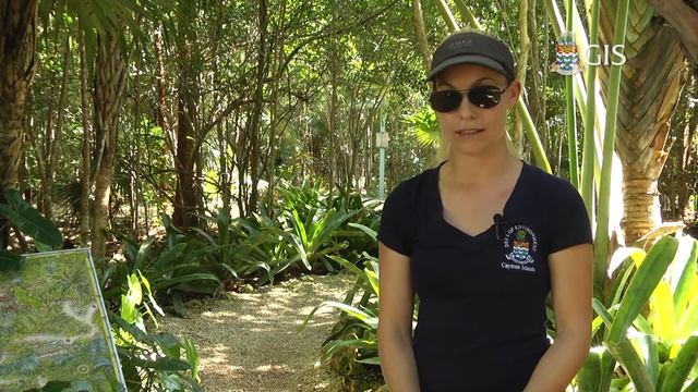Cayman Parrot Survey Spotlight Story 2015 смотреть онлайн