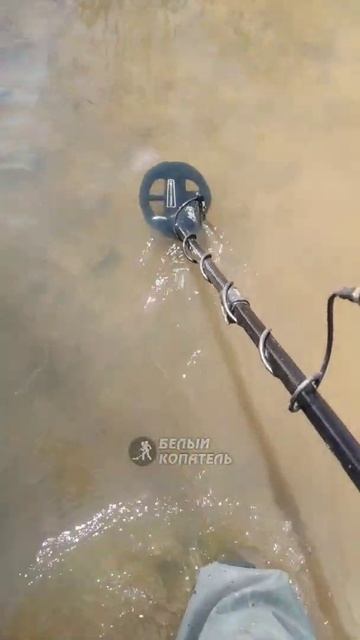 Пляжный поиск с металлоискателем Nokta Legend смотреть онлайн