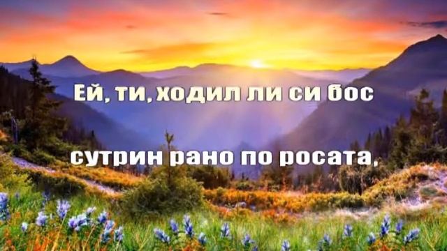 Мечта за изгрев lyrics смотреть онлайн
