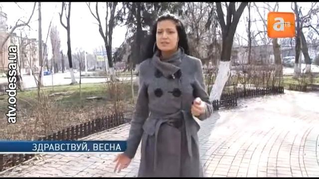 Весна — лучшее время для начала новых проектов смотреть онлайн