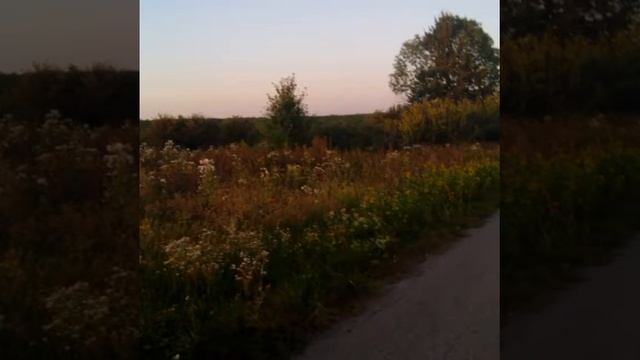 Тело природы. смотреть онлайн