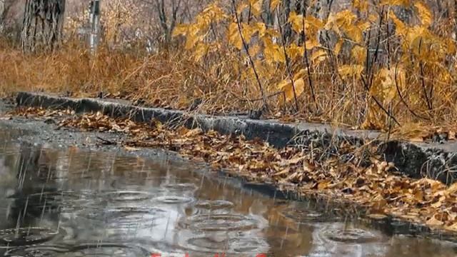 Осень_Лужи_Творчество.AVI смотреть онлайн