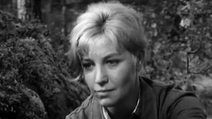 А зори здесь тихие