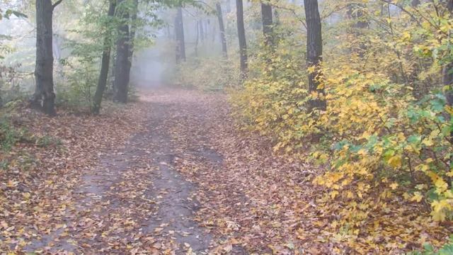 Осенние туманы смотреть онлайн