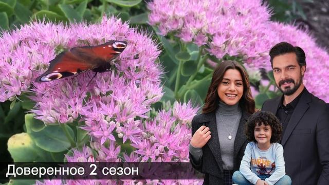 Доверенное 314! Что с Зухаль?! смотреть онлайн