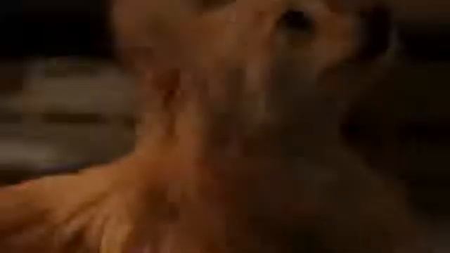 T-Pad изучение иностранных языков онлайн смотреть онлайн