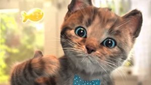 ПРИКЛЮЧЕНИЕ МАЛЕНЬКОГО КОТЕНКА мультик смешное видео для детей мультфильм про котиков