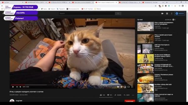 Dawg Большой Видосный Разговорный (Alison)