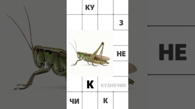 Тест по чтению на русском языке! Карточки Тимирязева. Насекомые и водоплавающие. смотреть онлайн