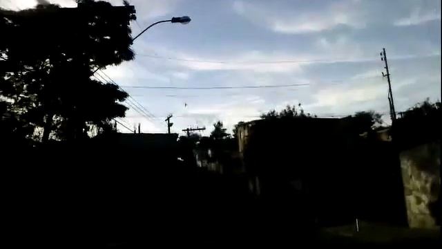 Tigra em Contagem смотреть онлайн