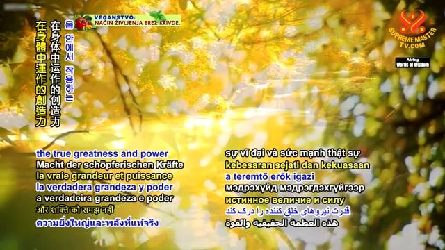 The Angels’ Forces: From The Guide for the Perplexed by Maimonides (vegetarian)天使的力量：摘錄自邁蒙尼德著作《迷途指津 смотреть онлайн