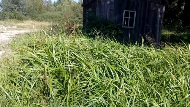 Таня і баба яга смотреть онлайн