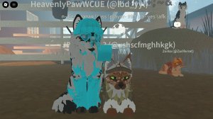 Делаю скины с подругой :3