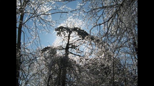 Дмитрий Черепок. Птицы умолкли.ст.и муз.Д.Черепок смотреть онлайн