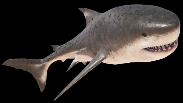 Otodus Megalodon (Shark) Sounds JWE2 смотреть онлайн