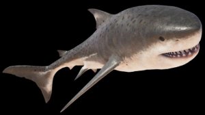 Otodus Megalodon (Shark) Sounds JWE2