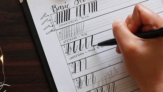 Brush Calligraphy Tutorial for Beginners (Basic Strokes) смотреть онлайн