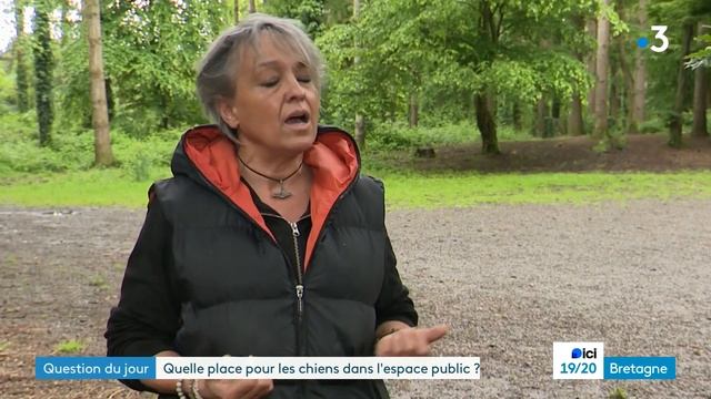 Question du jour. Quelle place pour les chiens dans l'espace public ? смотреть онлайн