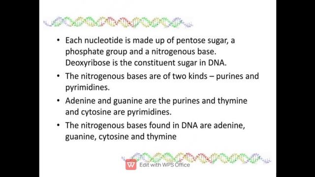 DNA double helix Model & RNA_ Himanshu Patidar_Bsc Ag 4th Yr JNKVV College of Agriculture Rewa MP смотреть онлайн
