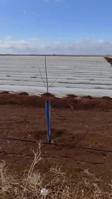 клубника, открытый грунт смотреть онлайн