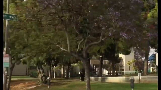 США - Лос Анджелес смотреть онлайн