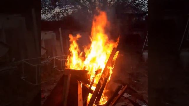 огонь . красный цветок.