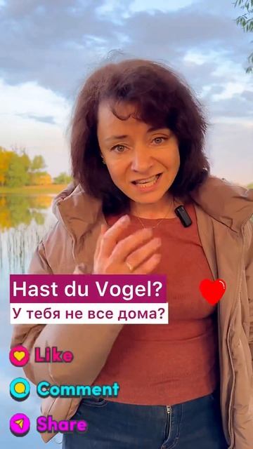 🇩🇪 Шок фразы с Haben #немецкий #bozenakorn #боженакорн #deutsch #немецкийдлявсех