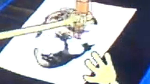 spang bob смотреть онлайн