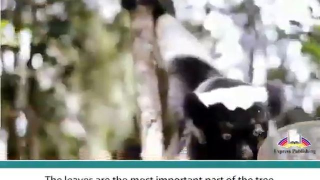 Excel 8.Module 6.Tree Parts and Functions.p 72 смотреть онлайн