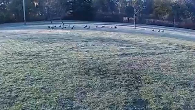 Syma x8 mod смотреть онлайн