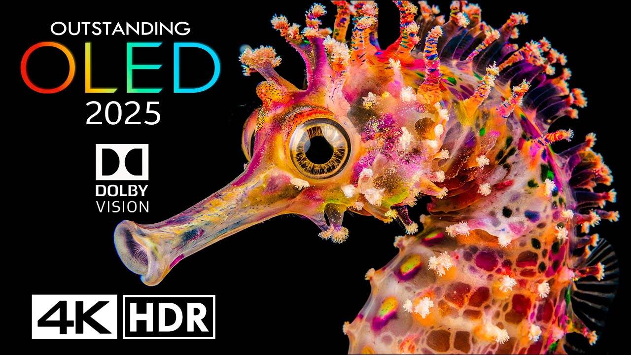 Красивая природа 4K Video ULTRA HD 60 FPS - Best of 4K HDR Dolby Vision смотреть онлайн