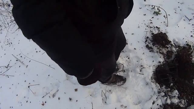 ВОТ ТАК НАХОДКИ! ЧЁРНЫЕ КОПАТЕЛИ ЭХО ВТОРОЙ МИРОВОЙ!