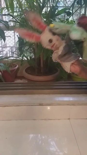 Khargosh Aur Kachhua- NANI AUR NIVU KE SANG, Hindi Poem With Puppets By Roshan Ranijiwala