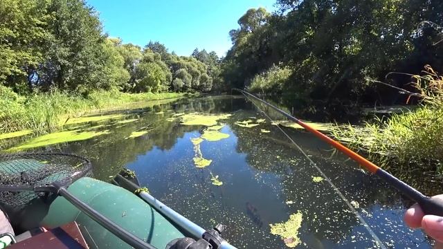 ЛОВЛЯ ЩУКИ В ЗАРОСЛЯХ КУВШИНОК! ТУТ НЕТ ЛЮДЕЙ, ПРИРОДА КАК В СКАЗКЕ! Рыбалка. смотреть онлайн