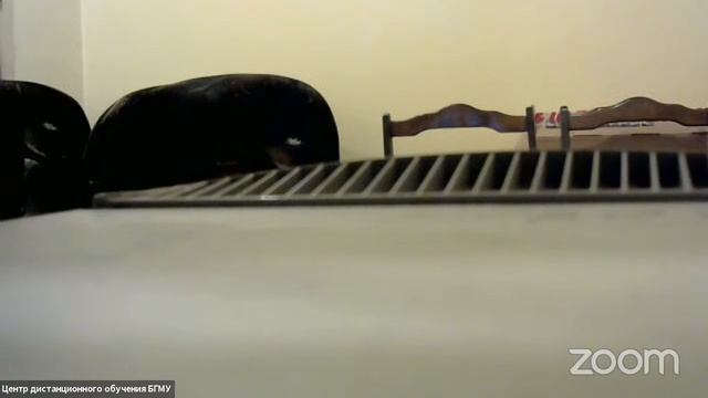 Зал персональной конференции Центр дистанционного обучения БГМУ смотреть онлайн