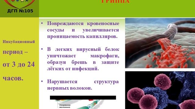 Профилактика гриппа смотреть онлайн