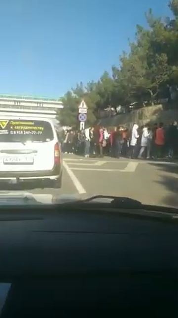 8 марта: очереди в Сафари-парке Геленджика смотреть онлайн