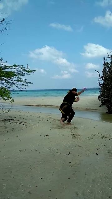 Penchak Silat. Jurus. смотреть онлайн