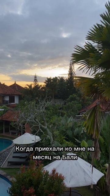 Забыла русский язык за границей #shorts #путешествия #языки #иностранныеязыки смотреть онлайн