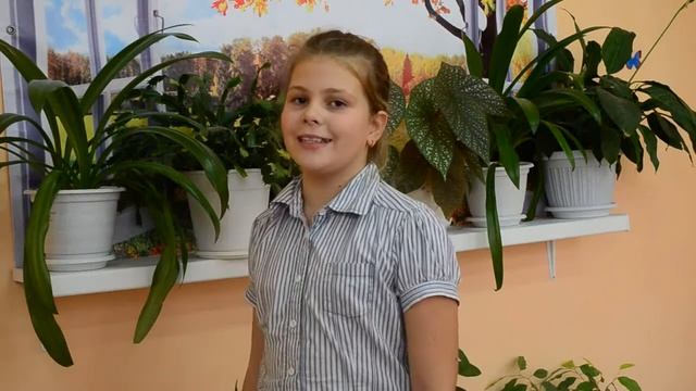 Социальный ролик смотреть онлайн