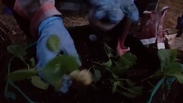 Part 2-Nothing burger-Now let's make some lemonade out of lemons🤗 смотреть онлайн