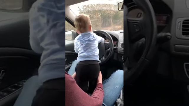 Курс вождения смотреть онлайн