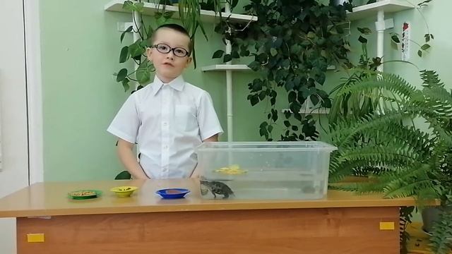 11 февраля 2021 г.