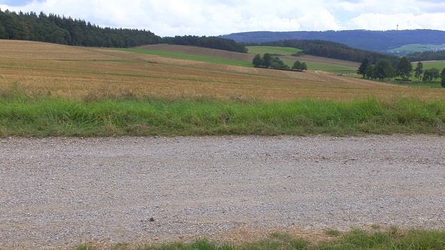 Опекунка в Германии! Неудачная попытка! смотреть онлайн