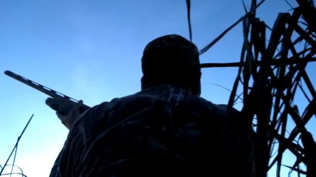 Grey Duck Down смотреть онлайн